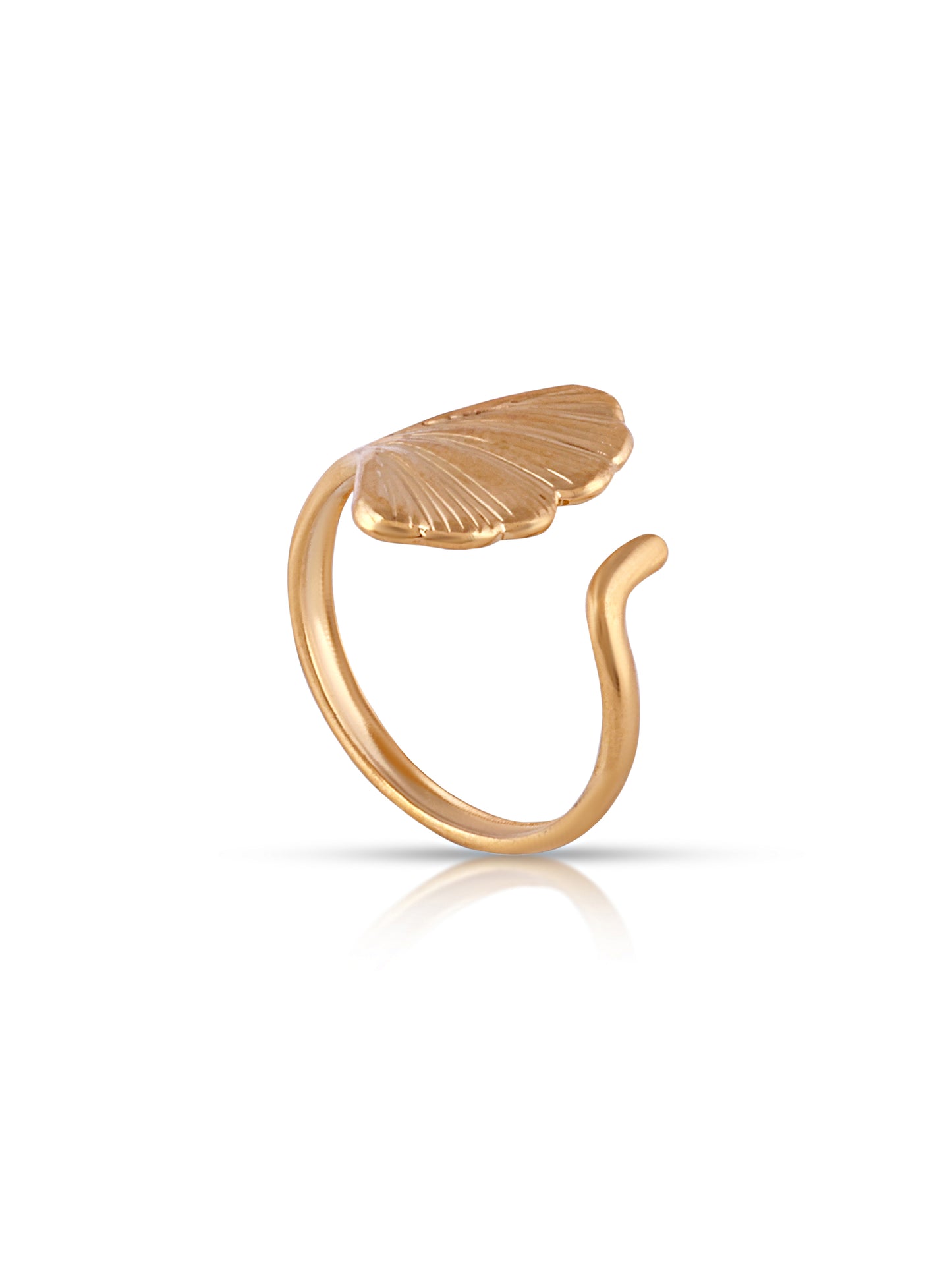 Coastal Shell Ring