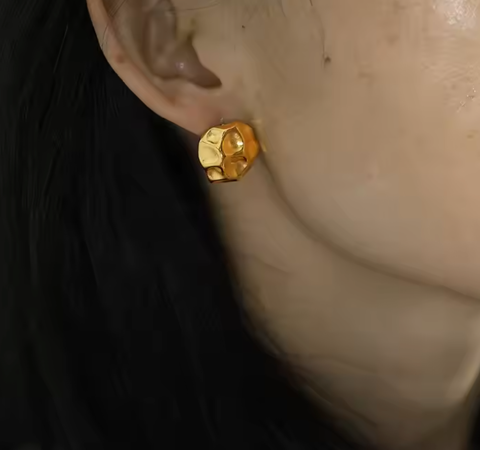 Meteorite Earrings