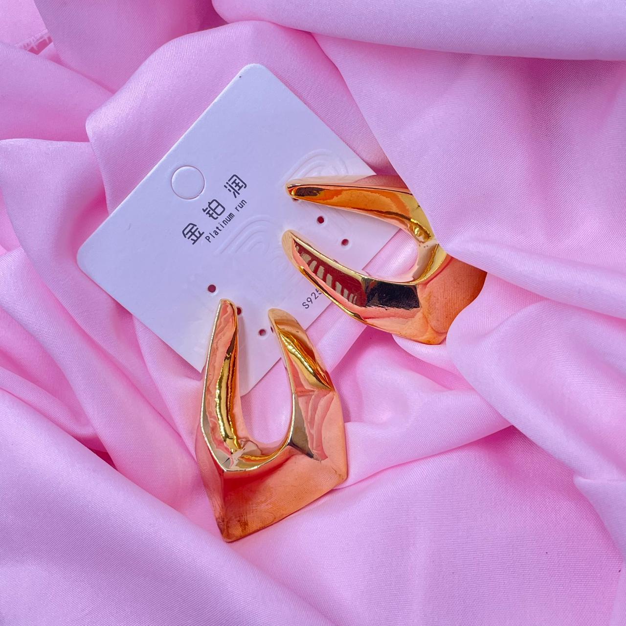 Coral Style Earrings