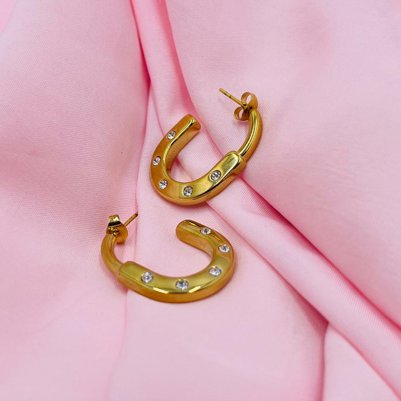 Golden Secret Earrings
