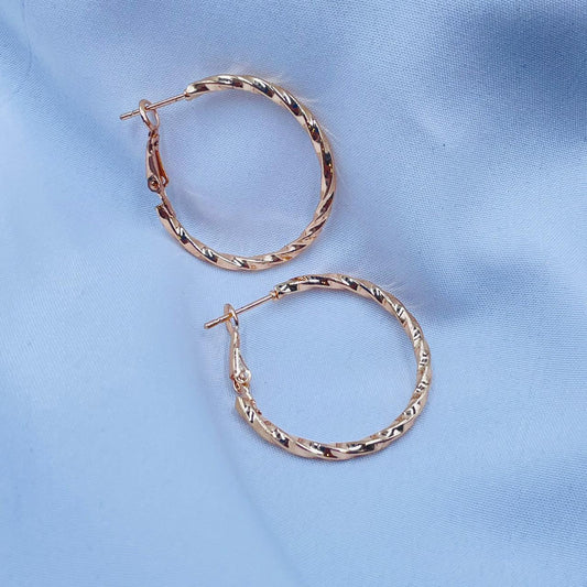 Twisted Hoop Earrings