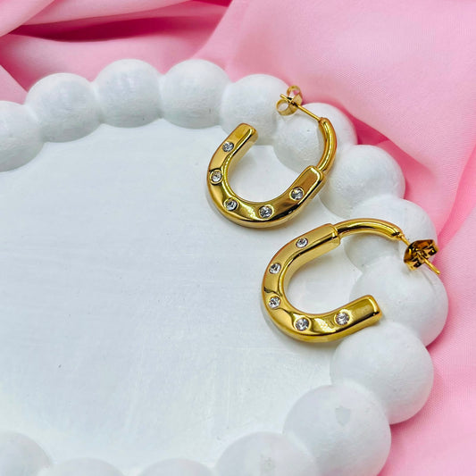 Golden Secret Earrings