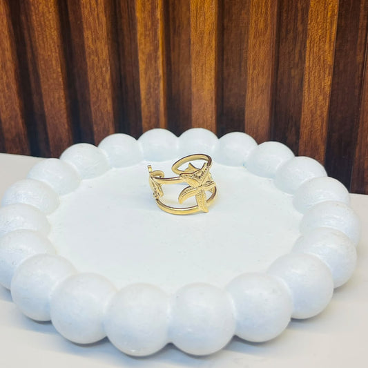 Polished Steel Ring