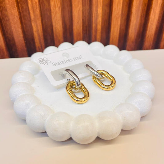 Dual Tone  Earrings